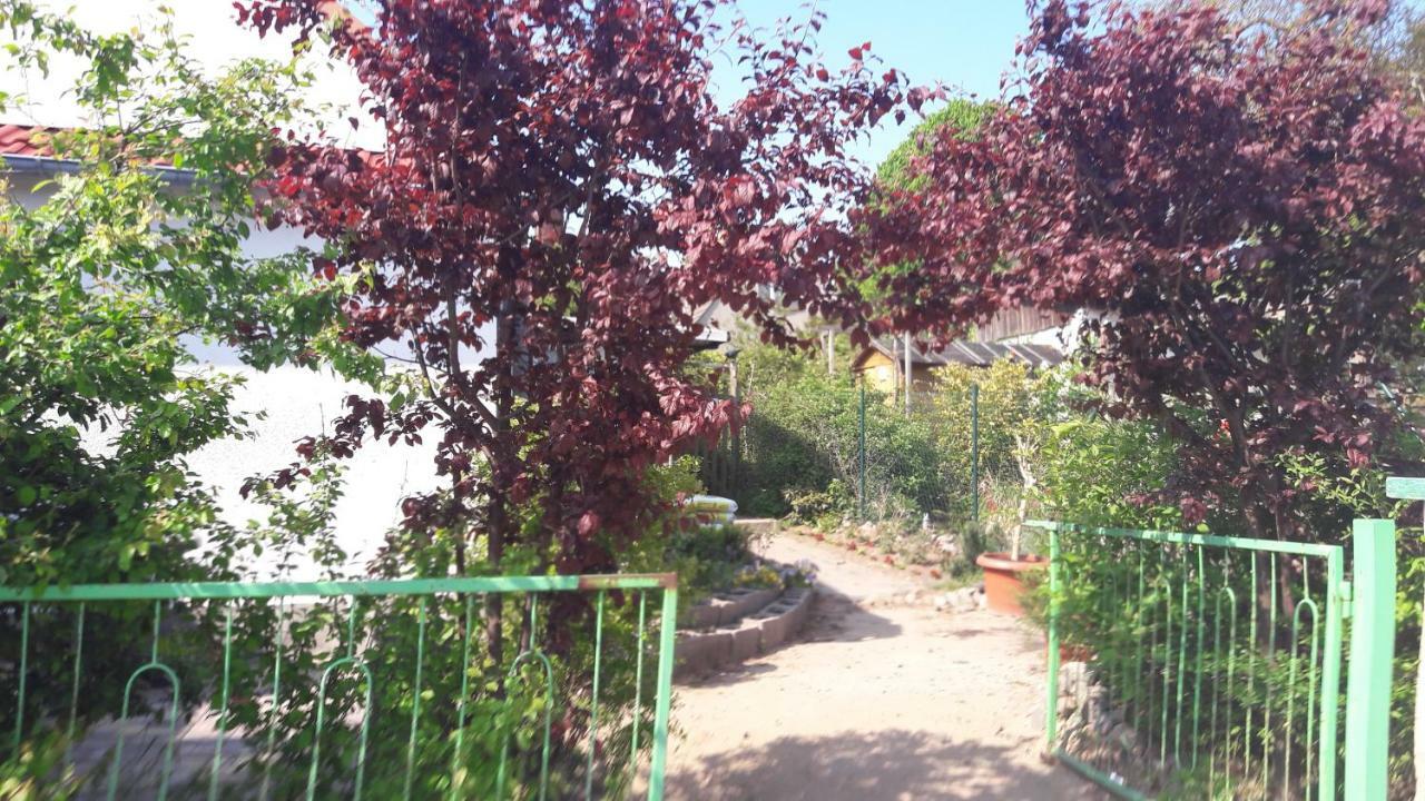 Apartments Zum Brauergang Garz  Extérieur photo